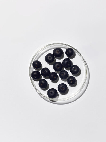 CELLULAR HYDRATION REPAIR SERUM